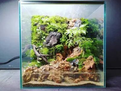 Bể thủy sinh 40cm - Lựa chọn hoàn hảo cho không gian nhỏ gọn