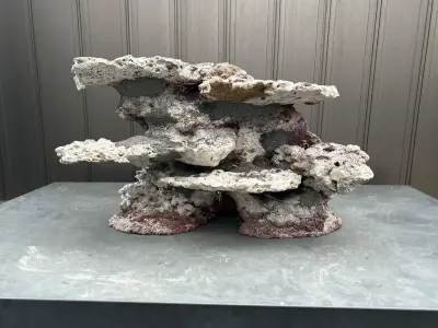 Trọn bộ ảnh đá sống giúp bể cá biển thêm sinh động