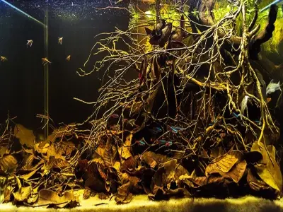 Phong cách Biotope và nghệ thuật mô phỏng thiên nhiên