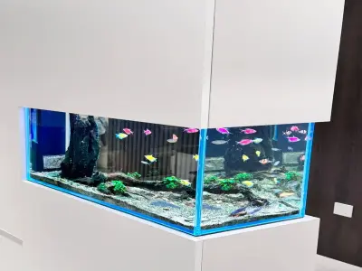 60+ ảnh bể cá âm tường đẹp sang cho không gian sống