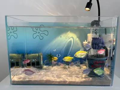 Khám phá 55+ mẫu decor bể thủy sinh cực ấn tượng