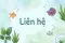Liên hệ