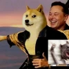 10.000+ hình nền meme hài hước cho điện thoại cực độc lạ năm 2026