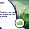 Hiệu ứng nhà kính và những tác động tiêu cực đến hành tinh năm 2026
