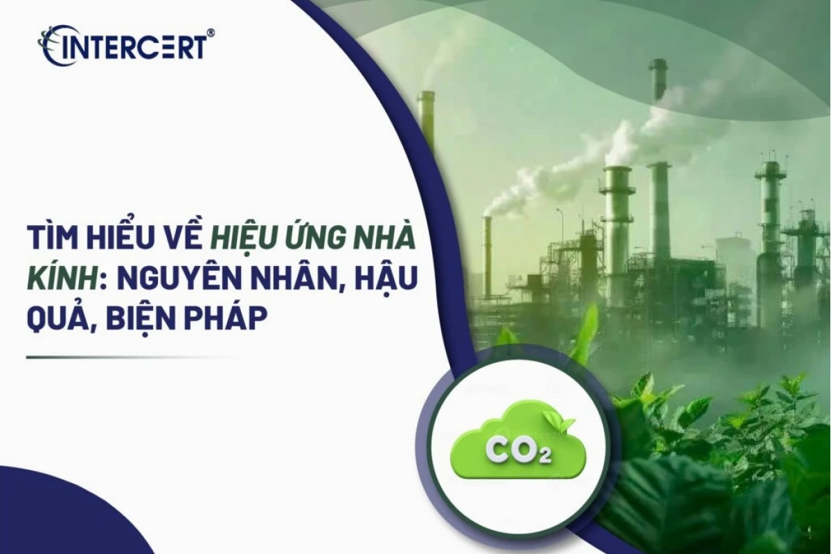 Hiệu ứng nhà kính và những tác động tiêu cực đến hành tinh năm 2026