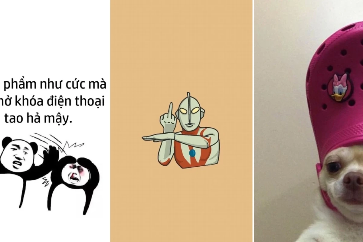 Top 100 hình nền meme hài hước cho điện thoại cực bựa và độc lạ 2026