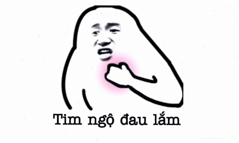 Ảnh Meme hài bựa, hài hước nhất 2025 và 2026