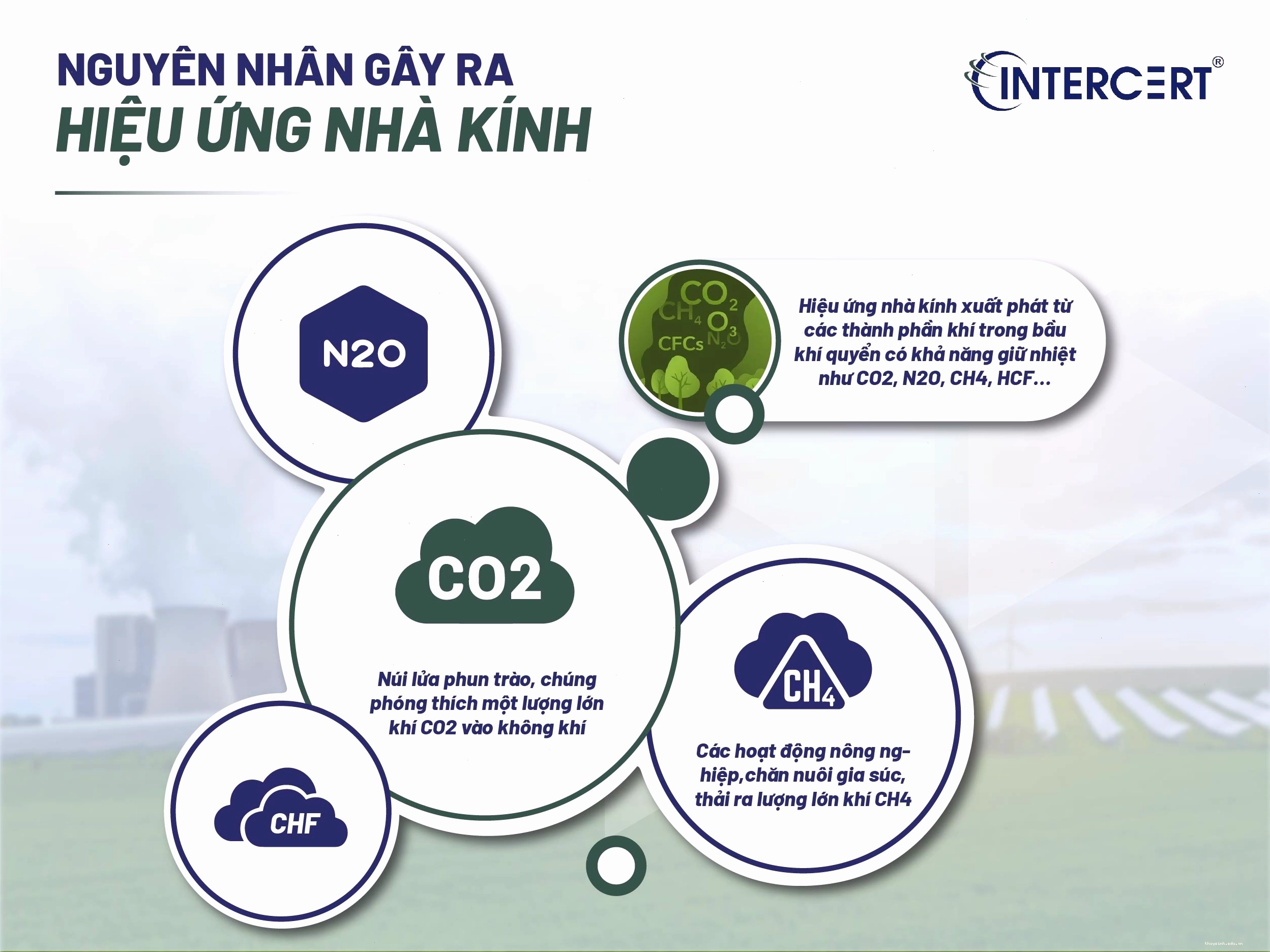 Các nguồn phát thải khí nhà kính chính từ hoạt động sản xuất của con người