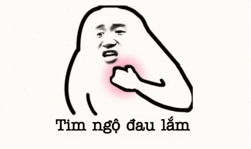 Hình nền meme hài hước cho điện thoại với biểu cảm mèo cực bựa