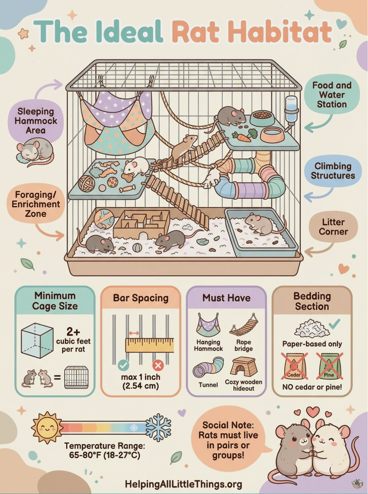 Infographic from Helping All Little Things about rat toys