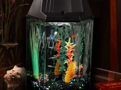 Top mẫu decor bể cá hình lục giác ấn tượng nhất