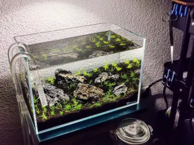 10+ Mẫu bể cá mini tuyệt đẹp cho không gian nhỏ