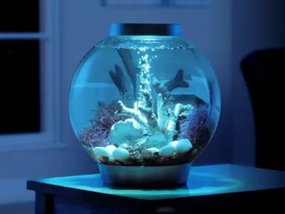 10+ mẫu decor bể cá tròn tinh tế và ấn tượng