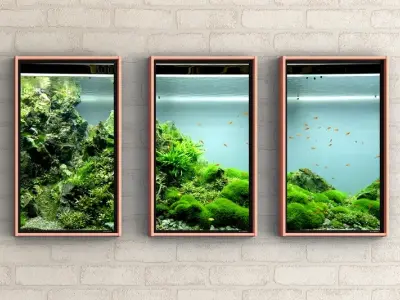 Hồ cá treo tường - Giải pháp cho không gian sống hiện đại