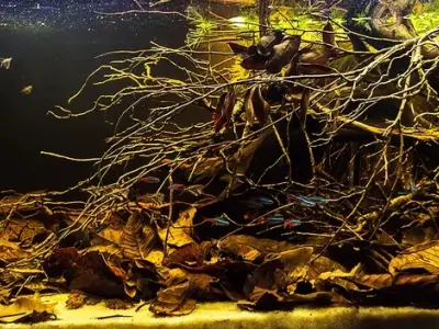 Phong cách Biotope và nghệ thuật mô phỏng thiên nhiên