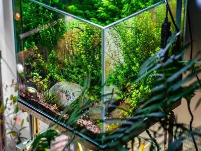 Chiêm ngưỡng bể cá thủy sinh phong cách Zen tuyệt đẹp