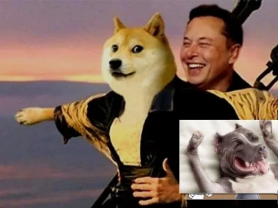 10.000+ hình nền meme hài hước cho điện thoại cực độc lạ năm 2026