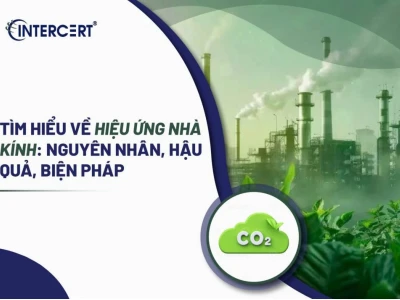Hiệu ứng nhà kính và những tác động tiêu cực đến hành tinh năm 2026