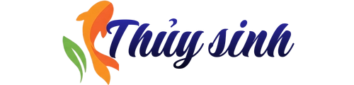 Logo thuysinh.edu.vn